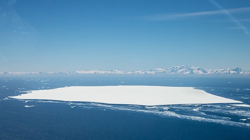 Το Α-68 έγινε μια παγωμένη σωσίβια λέμβος για ένα ευρύ φάσμα ειδών / WIKIPEDIA
