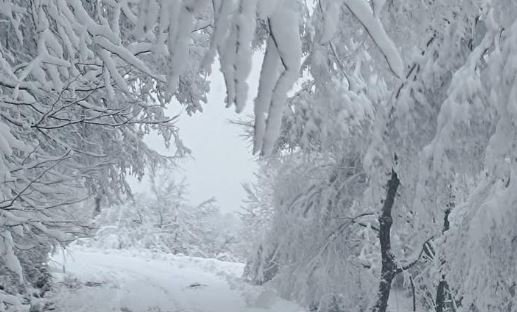 Χιόνια στην Ξάνθη / xanthinea.gr