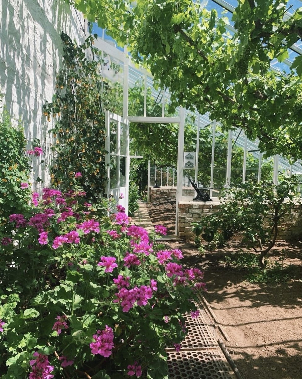 Clovelly Court Gardens