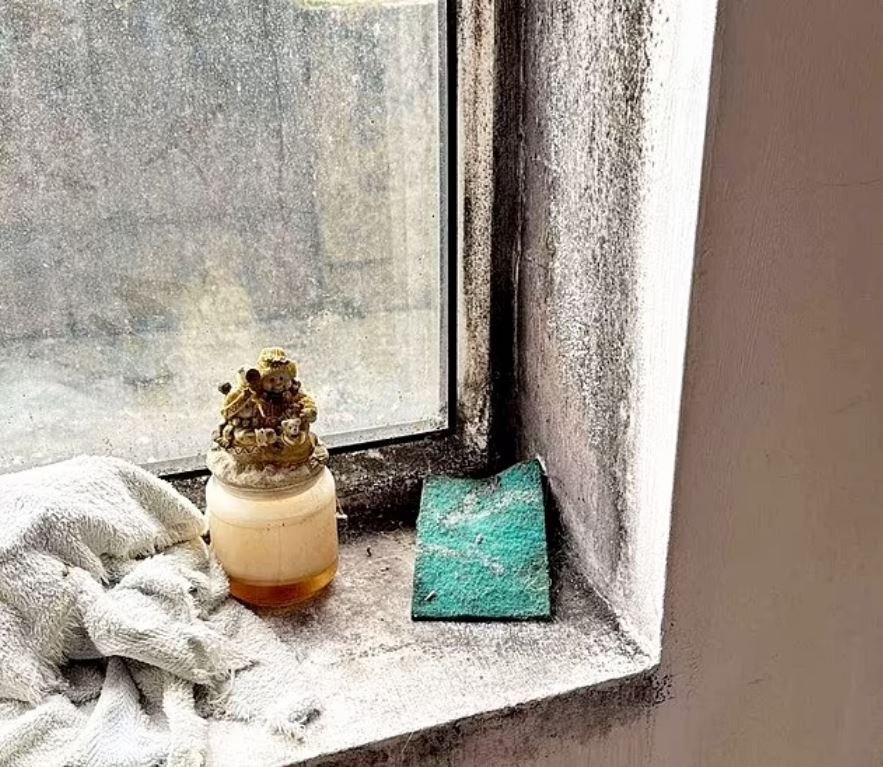 Όπως καταγγέλλει ο ιδιοκτήτης, είχε δημιουργηθεί μούχλα γύρω από τα παράθυρα, καθώς το διαμέρισμα δεν αεριζόταν επαρκώς