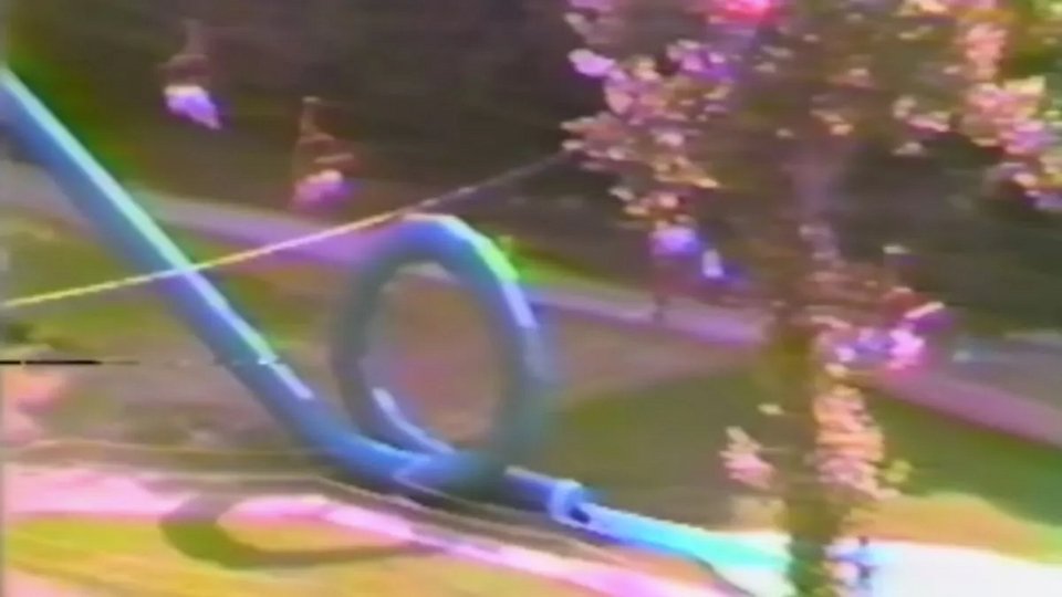 Οι επισκέπτες έχαναν τα δόντια τους τακτικά στο Cannonball Loop, ενώ μια γυναίκα παγιδεύτηκε μέσα στη διαδρομή