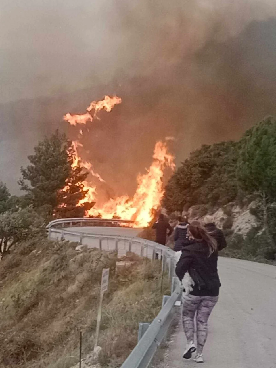 Φωτιά στη Λευκάδα / Φωτογραφία: ilefkada.gr