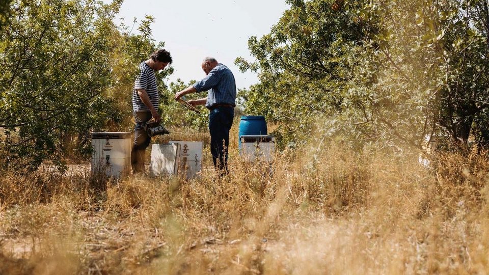 νομάδες μελισσοκόμοι