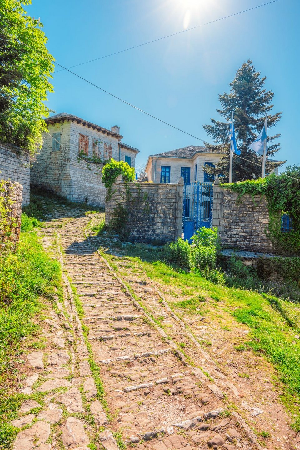 Μονοδένδρι Ζαγοροχώρια
