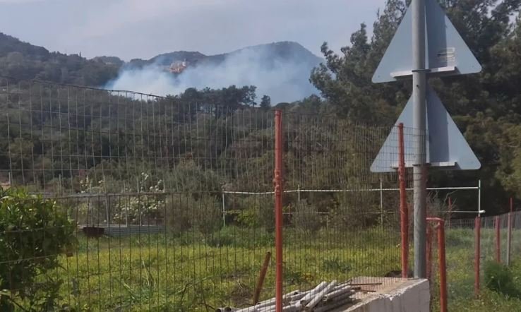 Πυρκαγιά στη Σάμο/Εικόνα: samos24.gr