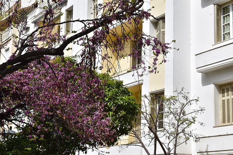 Η Κυψέλη μέσα από την οδό Φωκίωνος Νέγρη / openhouseathens.gr Χρήστος Κατσιλίβας