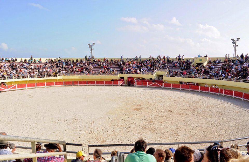 Ο εκφωνητής παρουσιάζει τον ταύρο, φωνάζοντας το όνομα του manade (το ράντσο όπου εκτρέφεται), καθώς αυτός μπαίνει στο ρινγκ / WIKIPEDIA