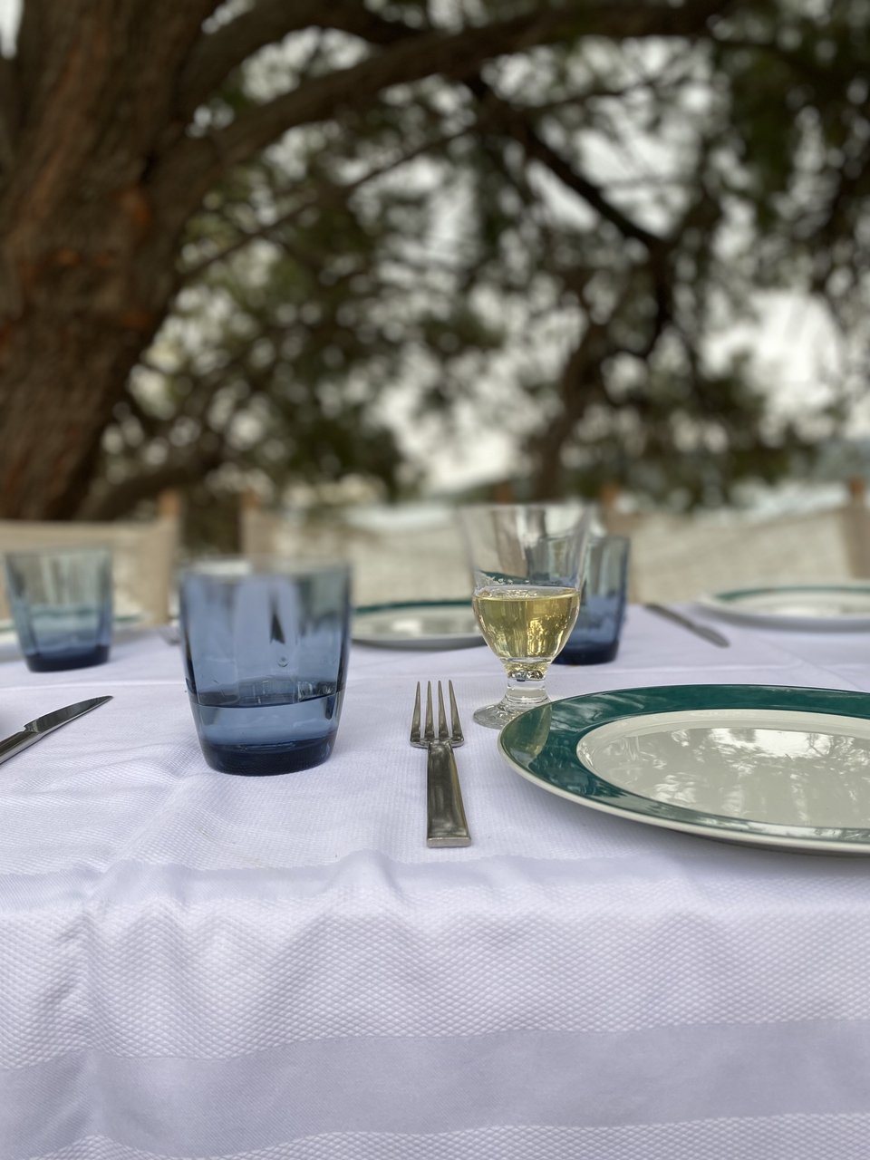 Το τραπέζι κάτω από το πεύκο στην παραλία Σωτήρας στη Θηνιά της Κεφαλονιάς.