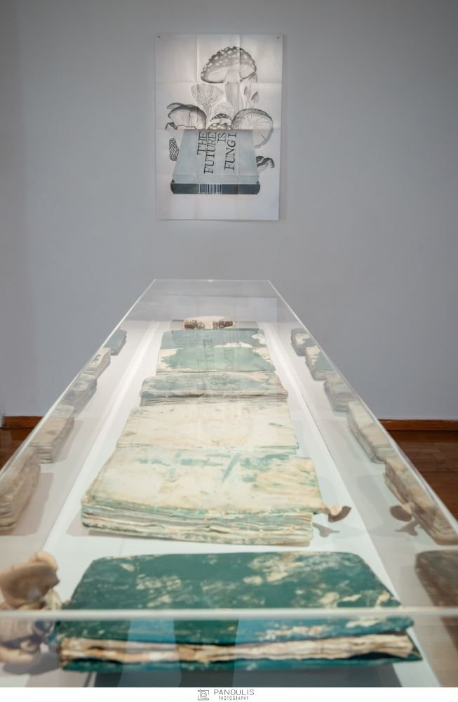 CITRONNE Gallery