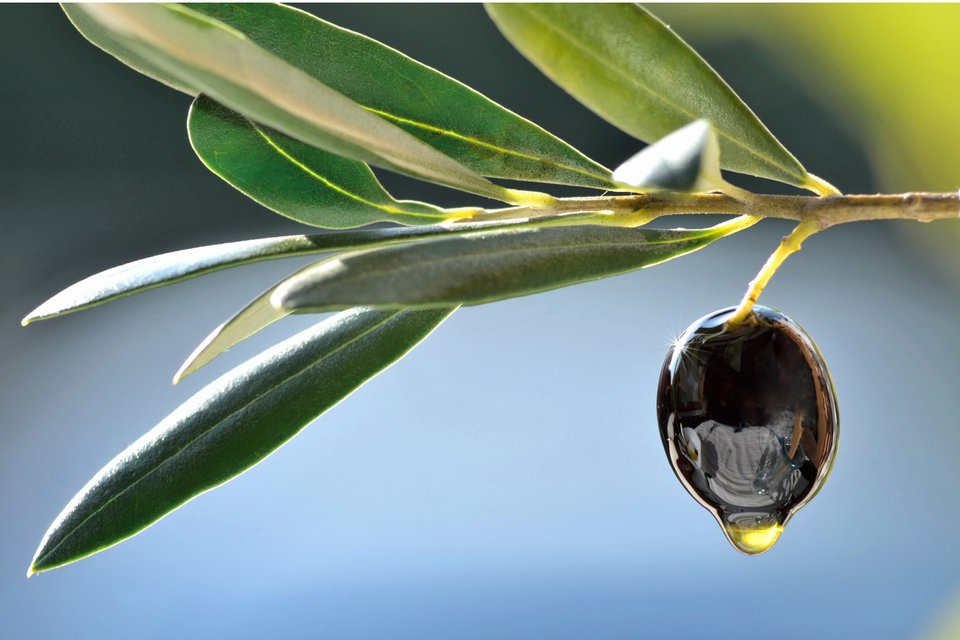 Φωτογραφία: shutterstock