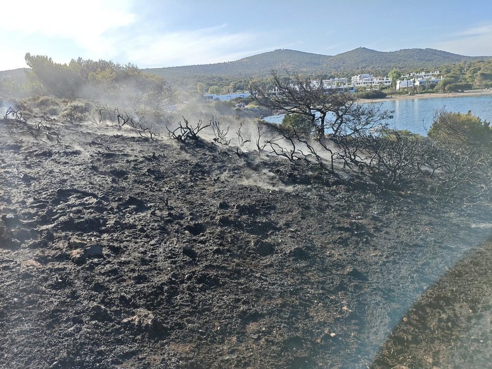 Φωτιά ξέσπασε κοντά σε ακτή του Σουνίου/Εικόνα: Facebook @Πυροπροστασια Δασων Λαυρεωτικης