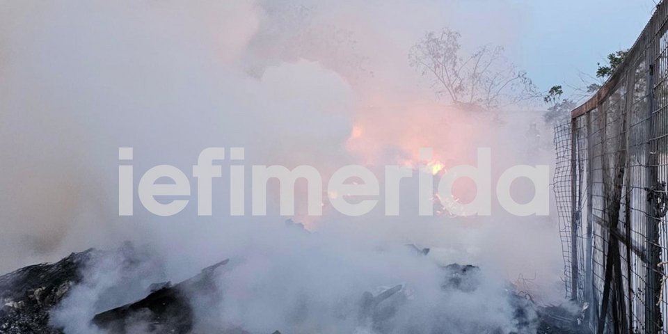 Φωτιά στο Βοτανικό σε υπαίθριο χώρο -Φωτογραφία: iefimerida.gr