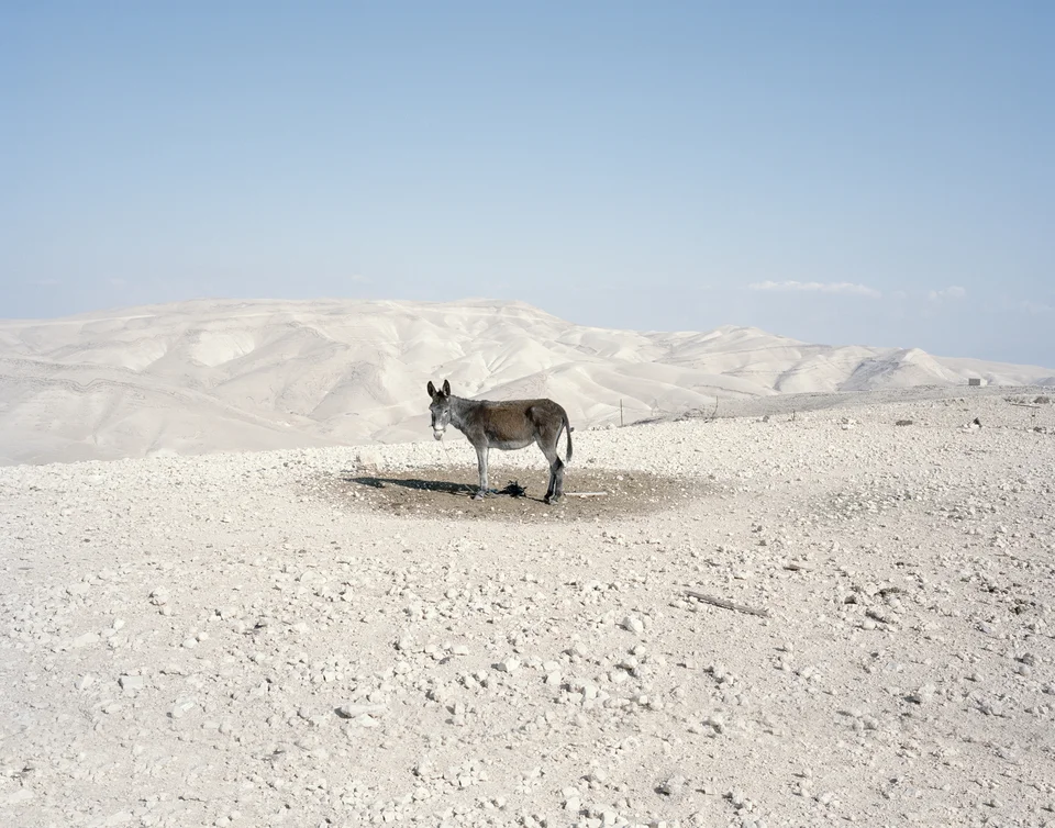 Πάρις Πετρίδης Βηθλεέμ , 2012 C print σε αλουμίνιο Ευγενική παραχώρηση του καλλιτέχνη
