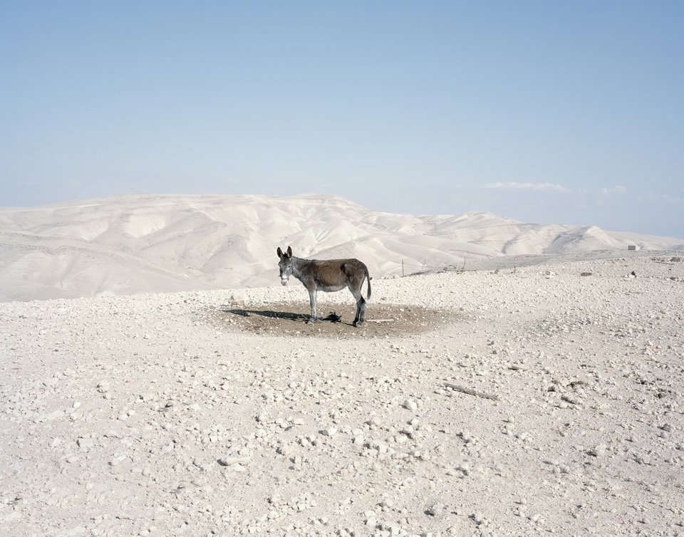 Πάρις Πετρίδης Βηθλεέμ , 2012 C print σε αλουμίνιο Ευγενική παραχώρηση του καλλιτέχνη