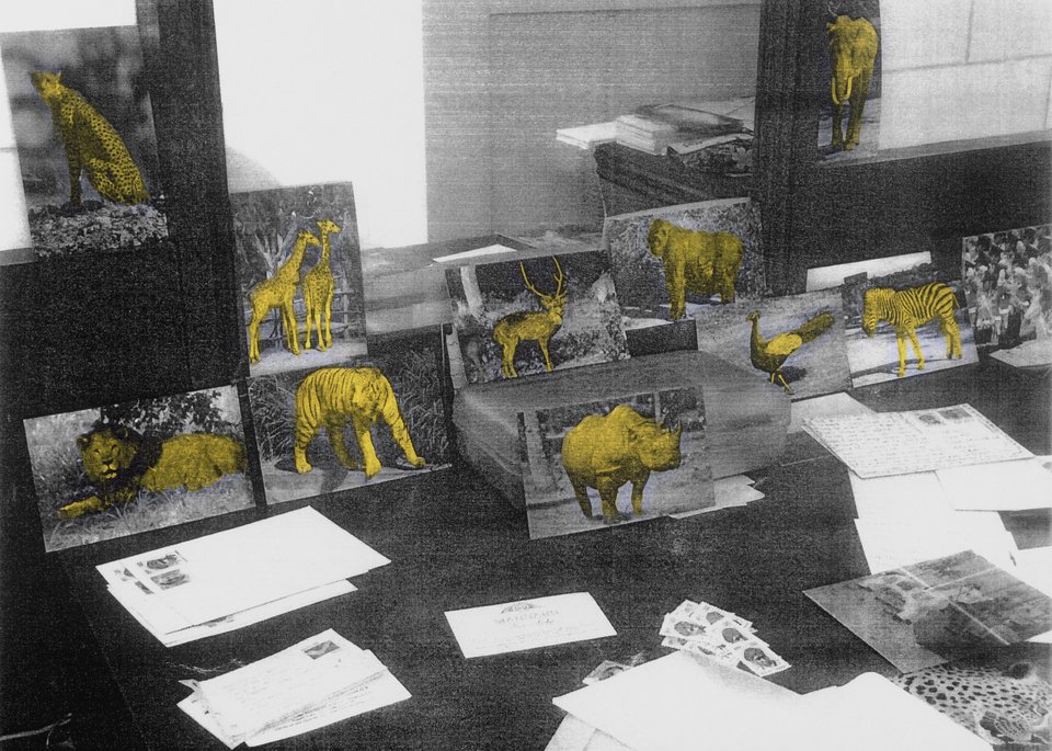 Αλέξανδρος Γεωργίου Jungle resort on my desk (Ένα ξενοδοχείο ζούγκλας πάνω στο γραφείο μου), 2017 Φωτογραφίες, μικτή τεχνική 21 x 30 εκ. Ευγενική παραχώρηση του καλλιτέχνη και της Γκαλερί Ρεβέκκα Καμχή