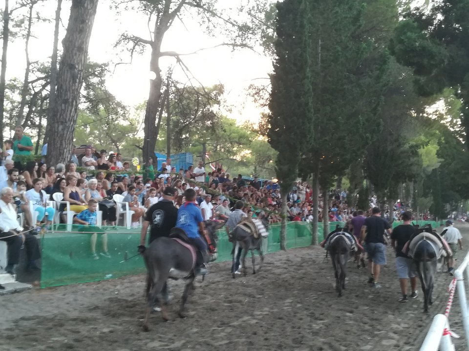 Το παναΰρι του Άι Σουλά