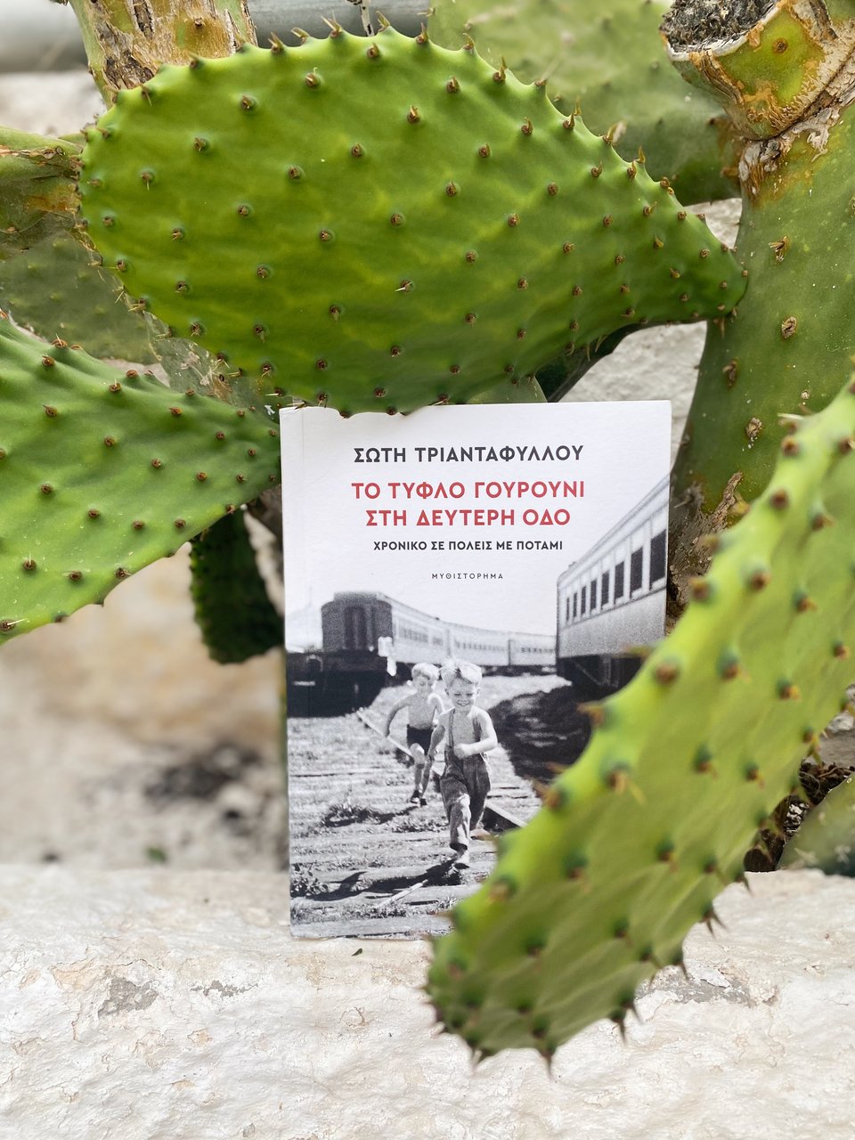 Το τυφλό γουρούνι στη δεύτερη οδό: Χρονικό σε πόλεις με ποτάμι, Σώτη Τριανταφύλλου, εκδ. Πατάκη / Φωτογραφία: Μάνος Λειβαδάρος/iefmerida