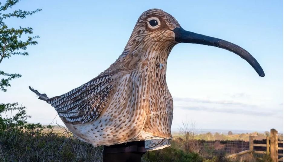 Με μήκος τρία μέτρα από την  άκρη του ράμφους μέχρι την ουρά, το τεράστιο πλάσμα είχε ένα μακρύ,  λεπτό ράμφος και μεγάλα καστανά μάτια / FACEBOOK