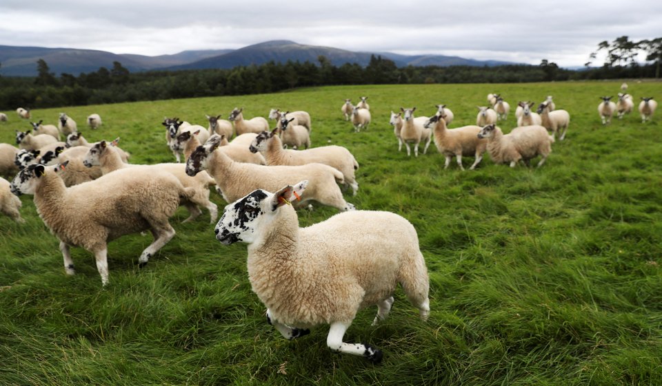 Είναι μια συγκλονιστική πραγματικότητα για τη Γενιά Ζ, που επιβεβαιώνεται από πολλές μελέτες και από αυτό που όλοι μπορούμε να διαπιστώσουμε με τα μάτια μας / PEXELS