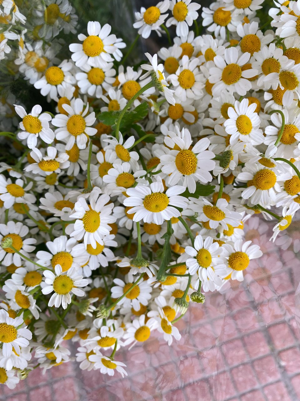 Η ομορφιά του αγρού σε ένα μπουκέτο / Φωτογραφία: Μάνος Λειβαδάρος/iefimerida