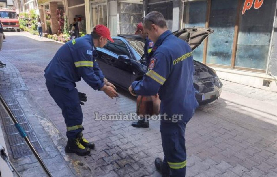 Οι πυροσβέστες χρησιμοποίησαν βενζίνη για να βρουν το φίδι, αλλά δεν τα κατάφεραν