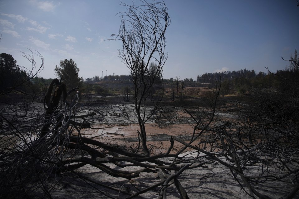 Στάχτες και αποκαΐδια άφησε πίσω της η φωτιά