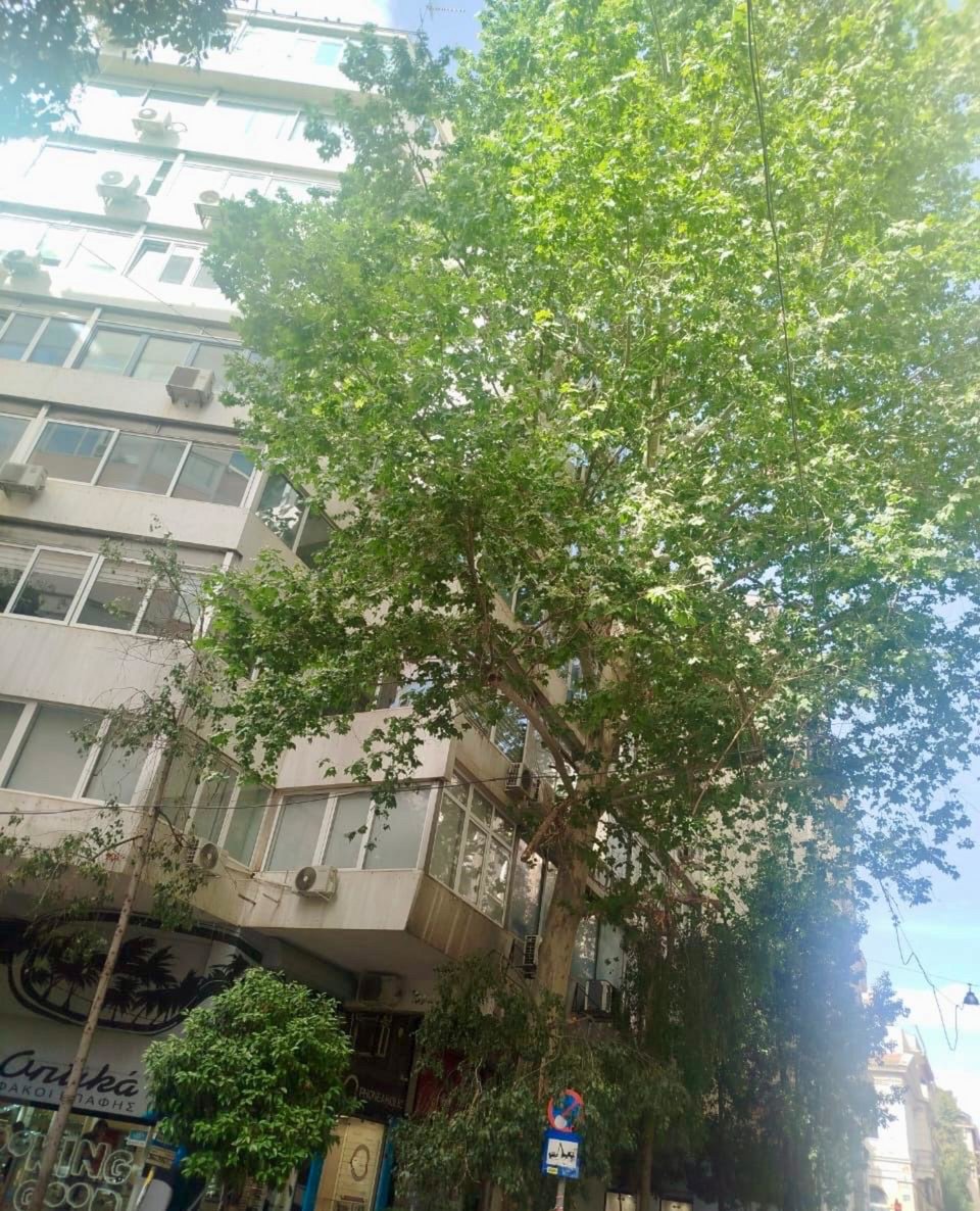 Φωτογραφία: iefimerida.gr