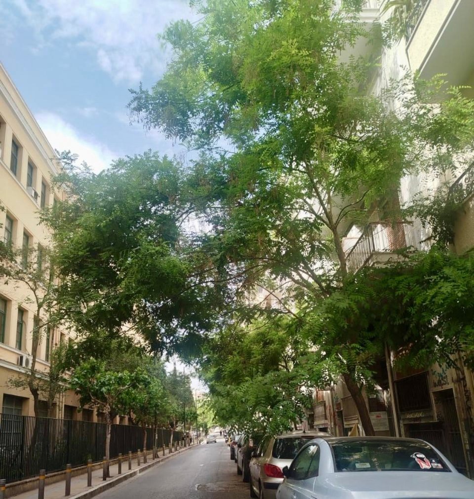Φωτογραφία: iefimerida.gr