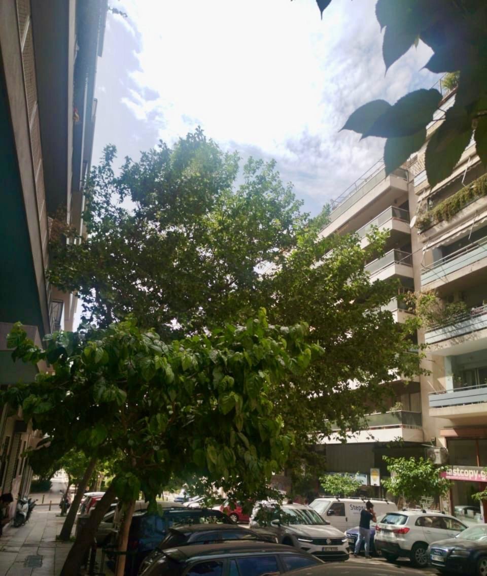 Φωτογραφία: iefimerida.gr
