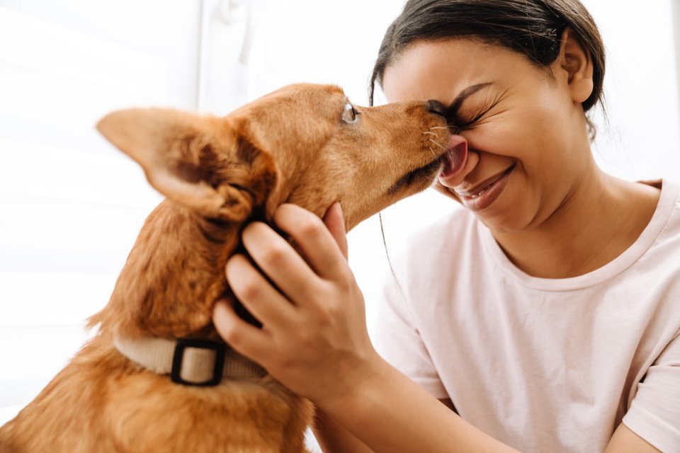 Φωτογραφία: Shutterstock