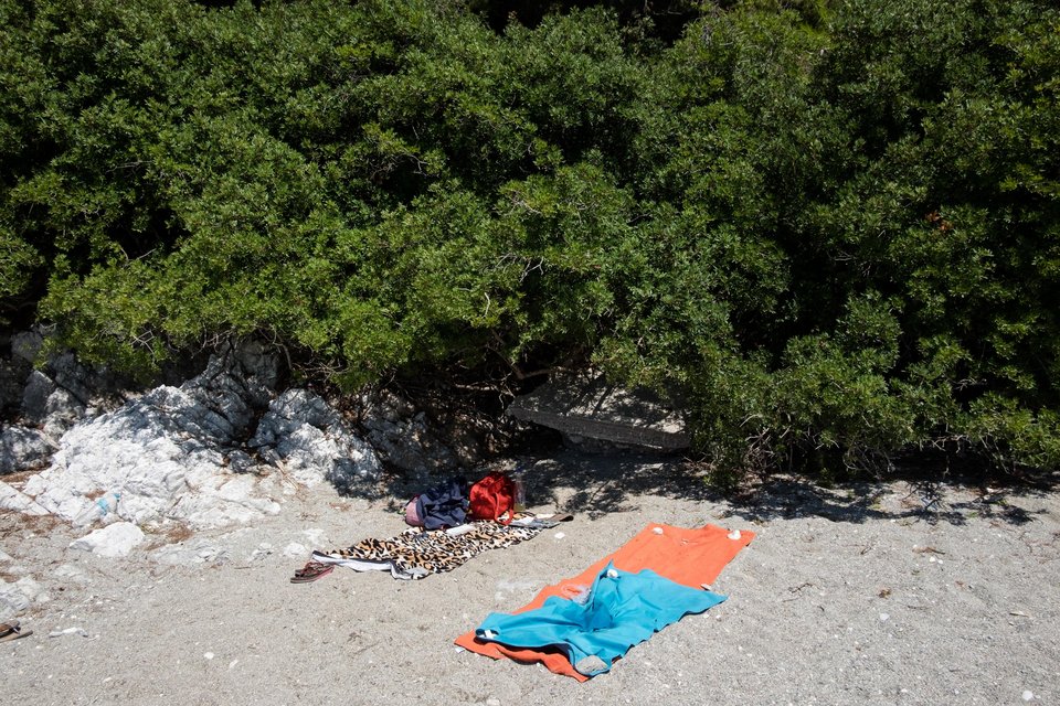 Τα δέντρα φτάνουν στην παραλία