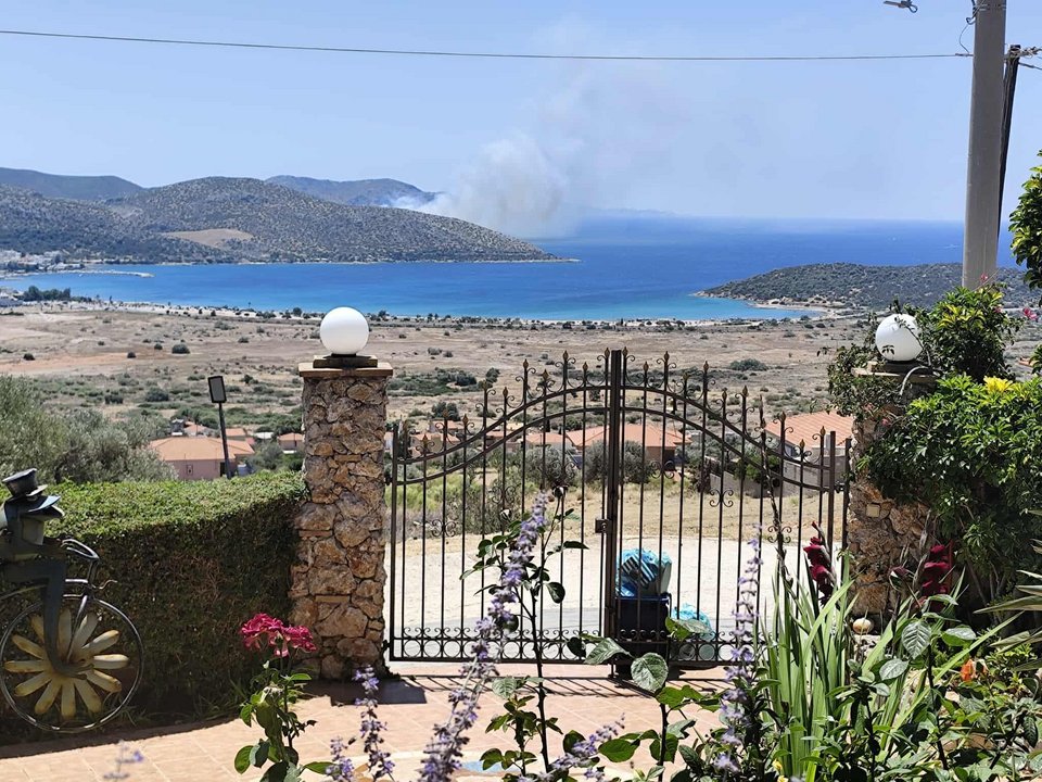 Φωτογραφία: Πυροπροστασία Δασών Λαυρεωτικής