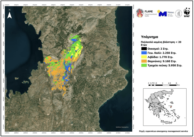 Χάρτης με τις καμένες εκτάσεις στη Χίο ανά είδος έκτασης-χρήσης / meteo.gr