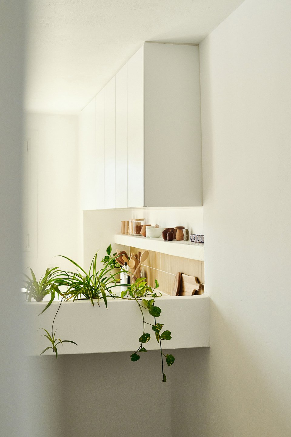 Φυτά εσωτερικού χώρου δίνουν ζωντάνια σε κάθε γωνιά / Φωτογραφία: Valiana Variantza - @blenderfactory