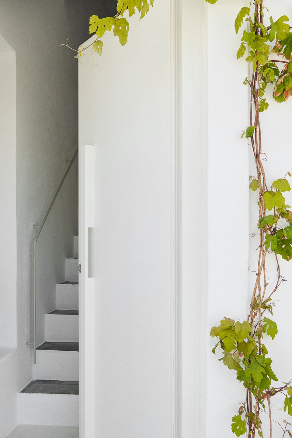 Μια κληματαριά στολίζει την είσοδο του σπιτιού / Φωτογραφία: Valiana Variantza - @blenderfactory