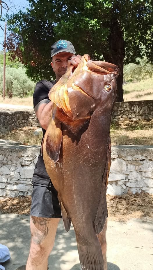 ψαροντουφεκάς