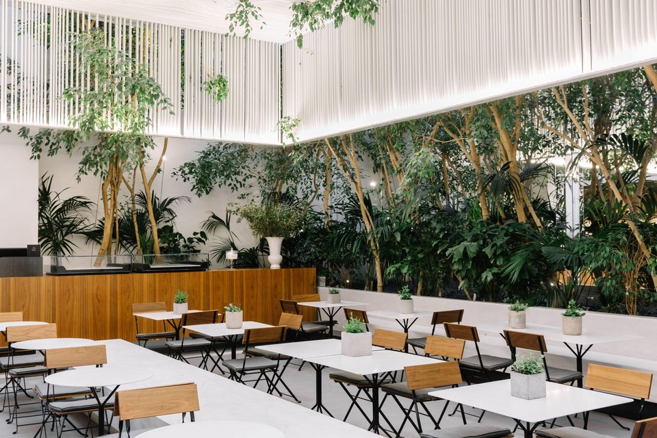 Το αίθριο του Cycladic café / Φωτογραφία: cycladic.gr