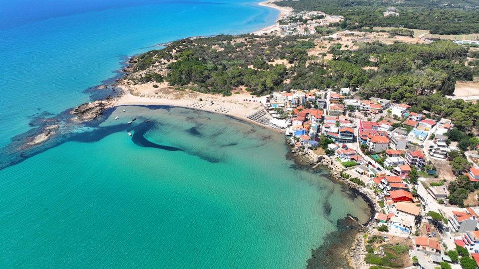 Αρκούδι άγνωστο χωριό