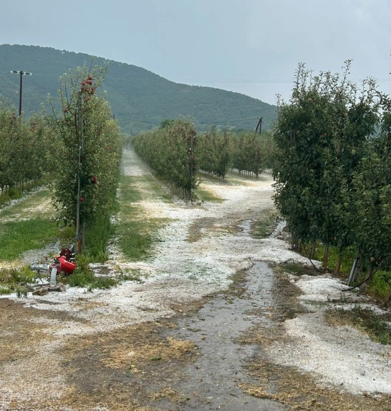 Χαλάζι σε καλλιέργειες στο Τοιχιό Καστοριάς / Εικόνα: fouit.gr