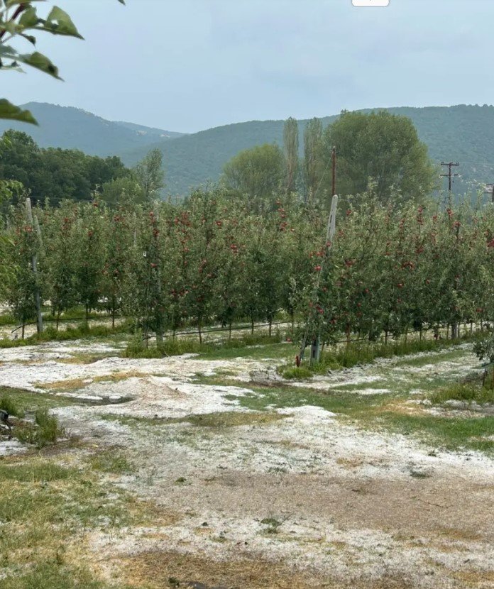 Χαλάζι σε καλλιέργειες στο Τοιχιό Καστοριάς / Εικόνα: fouit.gr