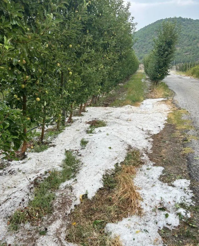 Χαλάζι σε καλλιέργειες στο Τοιχιό Καστοριάς / Εικόνα: fouit.gr