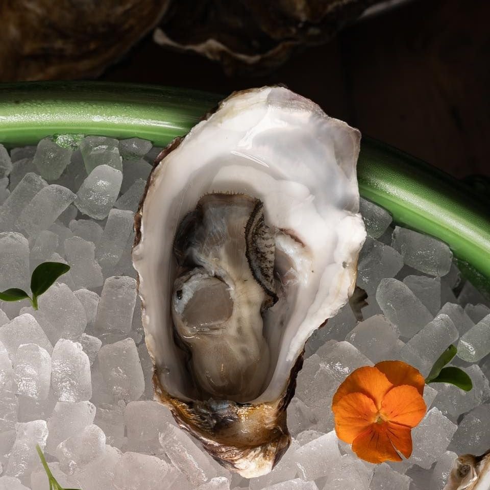 Φωτογραφία: hamsandclams/Instagram