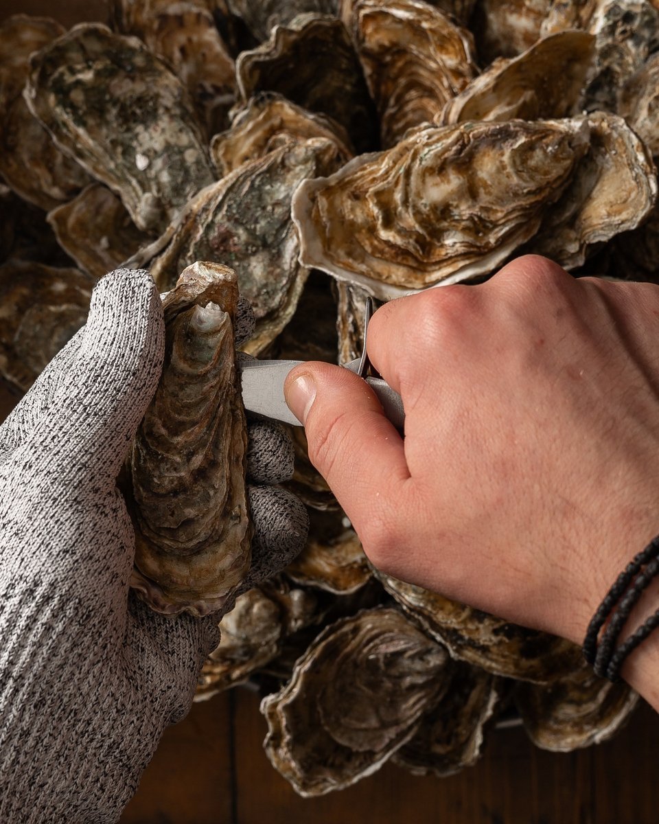 Φωτογραφία: hamsandclams/Instagram