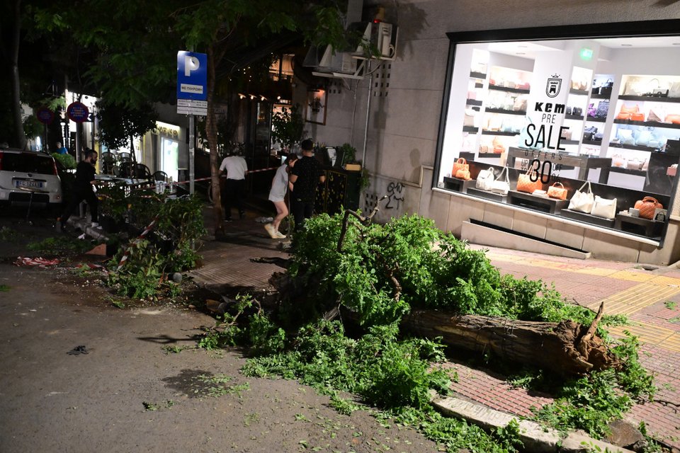 Το δέντρο που ξεριζώθηκε από την ορμή του τζιπ στο Κολωνάκι / Φωτογραφία: EUROKINISSI