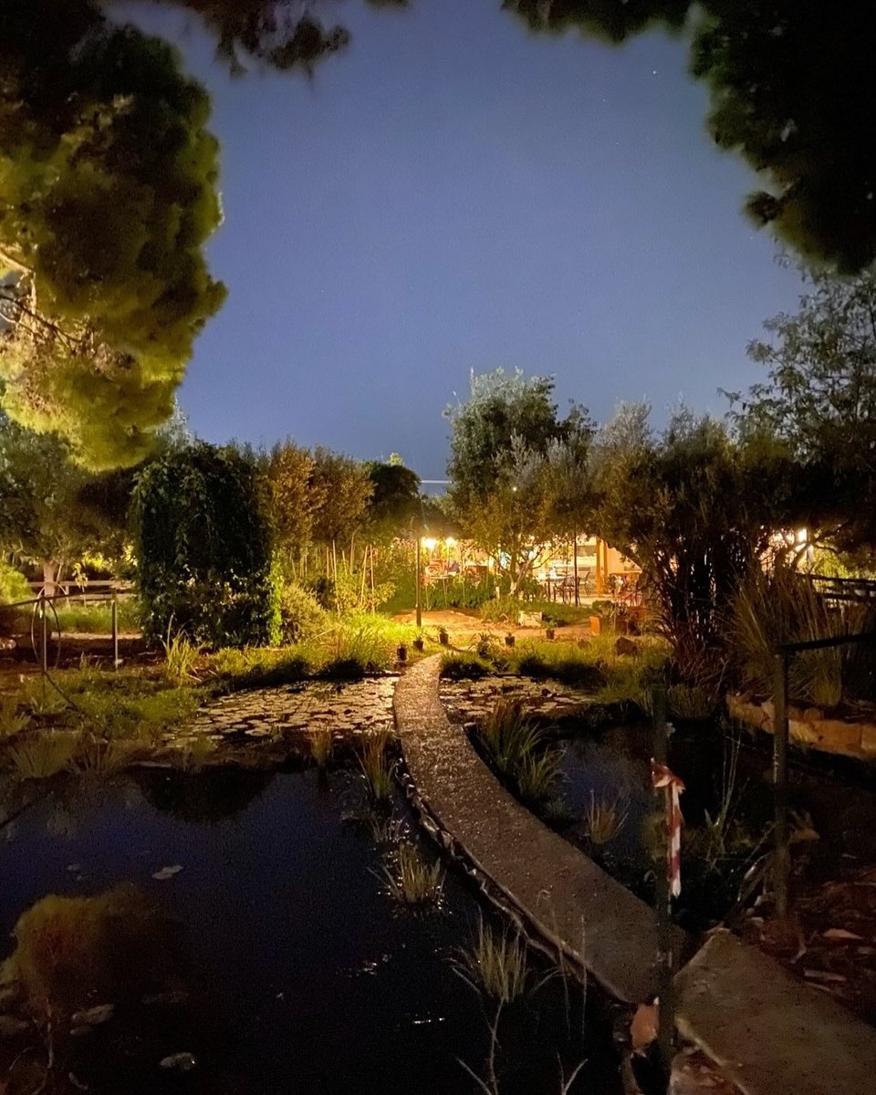 H μικρή λίμνη στο Περιβόλι στη Βάρη / Φωτογραφία: perivolivari/Instagram