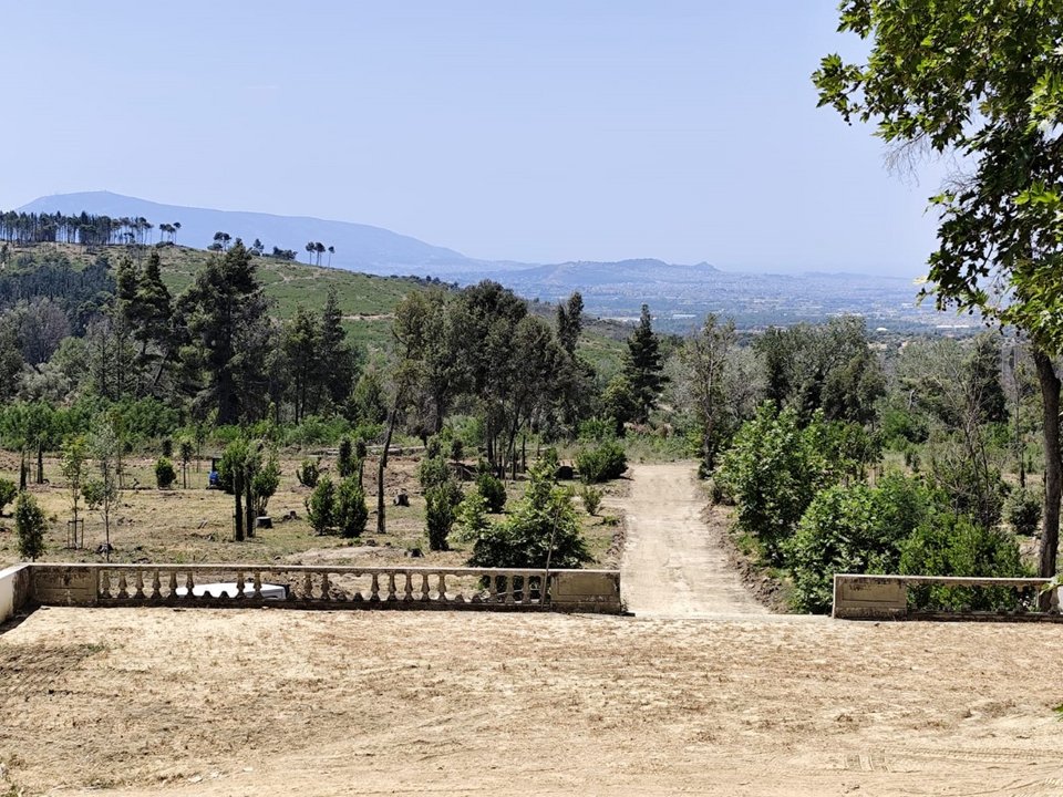 Τατόι