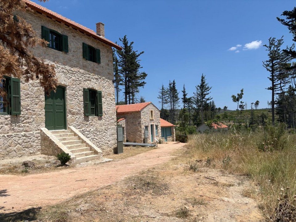 Τατόι