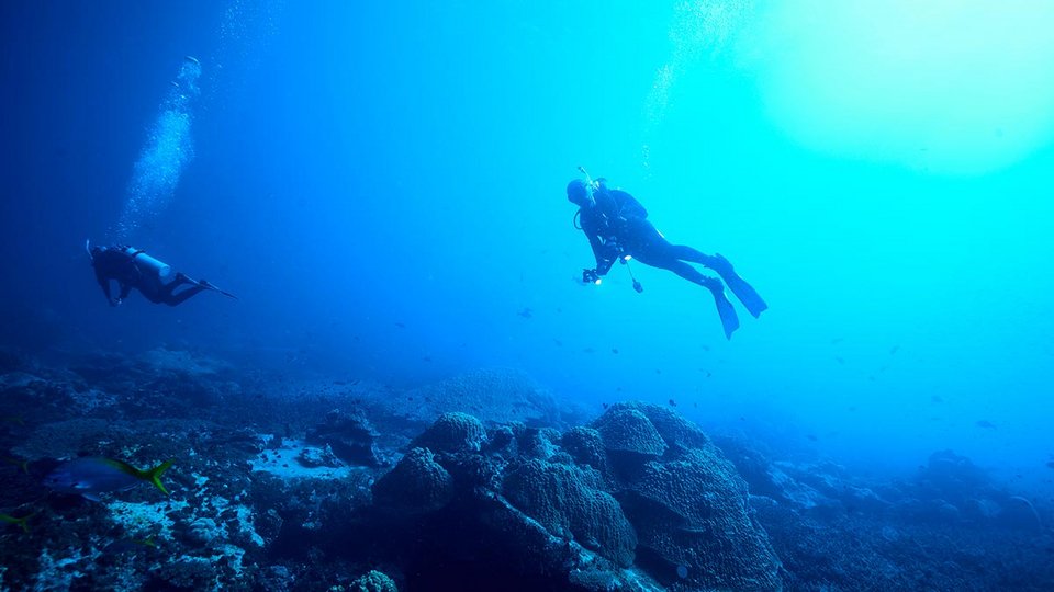 Ωστόσο, η σύγχρονη μορφή της ελεύθερης κατάδυσης, όπως την γνωρίζουμε σήμερα, διαμορφώθηκε μέσα στον 20ό αιώνα, όταν αθλητές άρχισαν να εξερευνούν τα όρια του ανθρώπινου σώματος / SHUTTERSTOCK