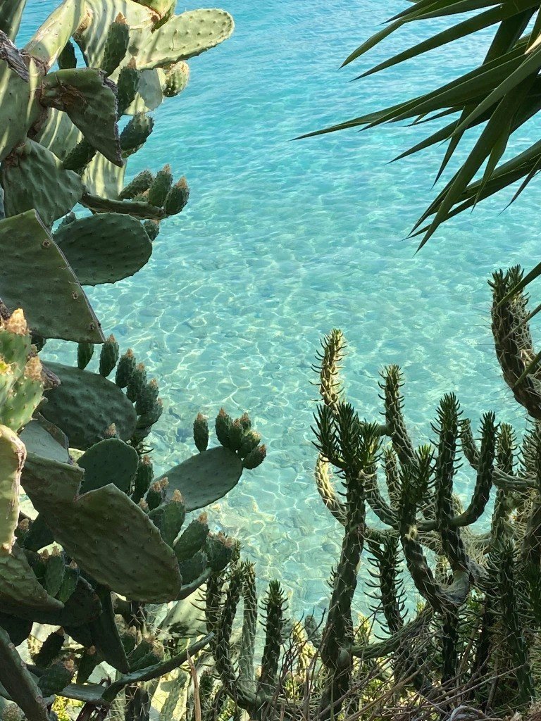 Κι όμως αυτά τα νερά απέχουν μονάχα 45 λεπτά με το αυτοκίνητο από το Σύνταγμα / Φωτογραφία: Μάνος Λειβαδάρος/iefimerida