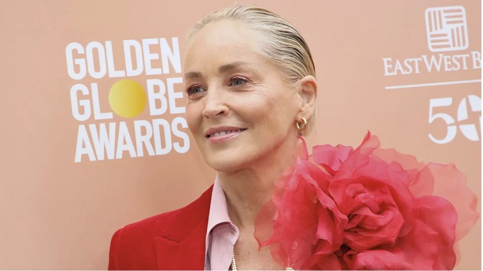 Από το θρυλικό «Basic Instinct» και το «Casino» μέχρι την προσωπική της μάχη με την υγεία και τους δαίμονες του Χόλιγουντ, η ζωή της μοιάζει με ταινία που ακροβατεί ανάμεσα στη δόξα και στο σκοτάδι / WIREIMAGE